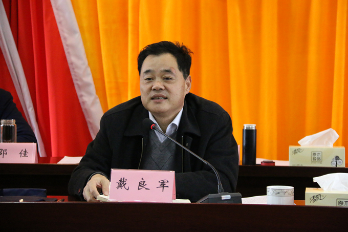 集團(tuán)黨委委員、副總經(jīng)理、總工程師戴良軍發(fā)表講話